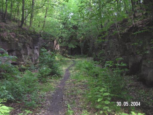 Tunnel Totale von Cottaer Seite